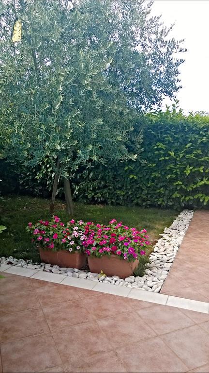 Appartamento Alida Umag Rom bilde